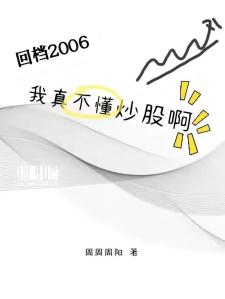 回档2006，我真不懂炒股啊